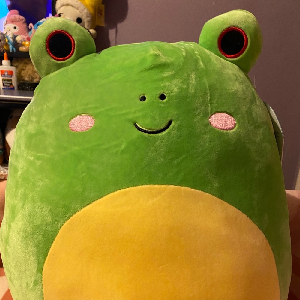 14 inch Wendy Squishmallow :)
